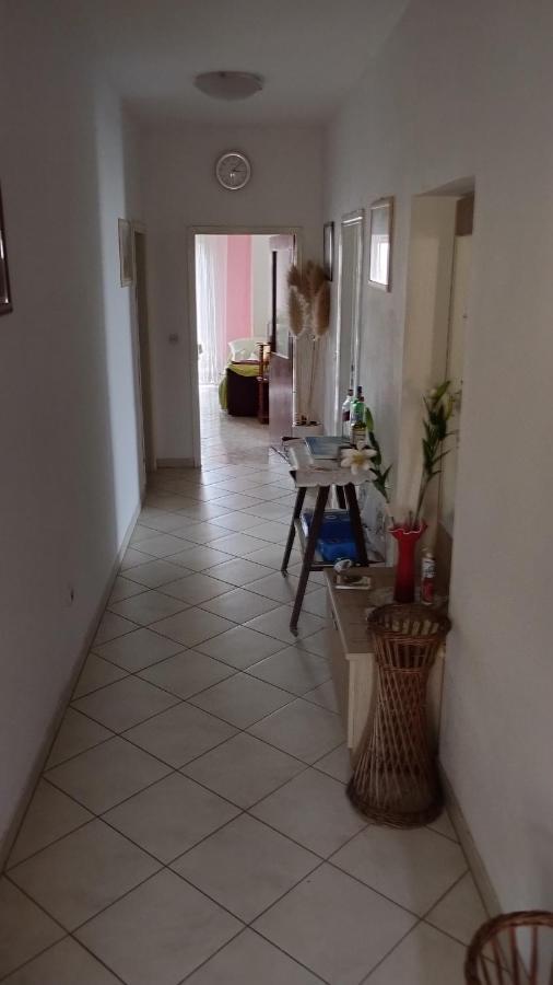 מלון שיבניק Apartman Palme מראה חיצוני תמונה